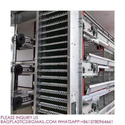 Modern Design H Type Automatic Egg Poultry Farms Battery Layer Chicken Cages