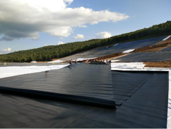 1m-8m Width HDPE Geomembrane for Pond ASTM GM13 Standard 0.5mm Fish Farm Pond Liner