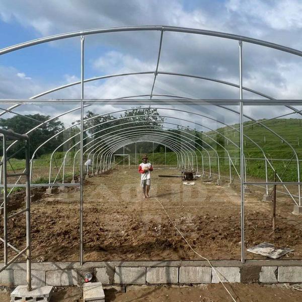 Estufa de túnel de 6x15m de altura com estrutura de aço galvanizado para cultivo de vegetais