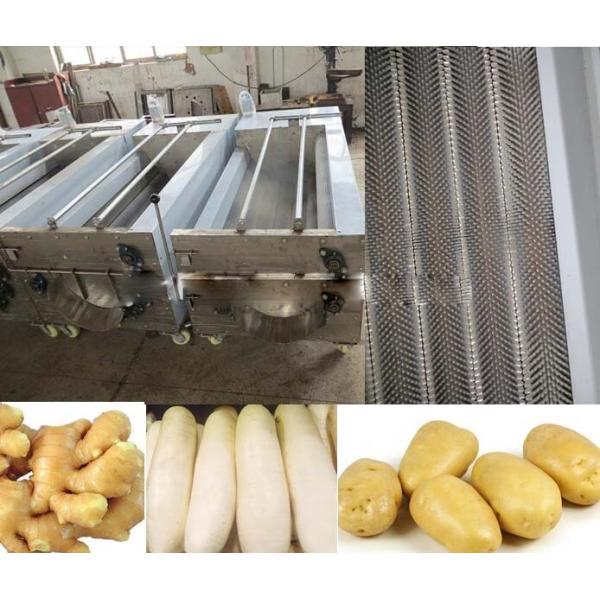 Automatic Ginger Washing Machine , Stainless Steel Vegetable Washing Equipment