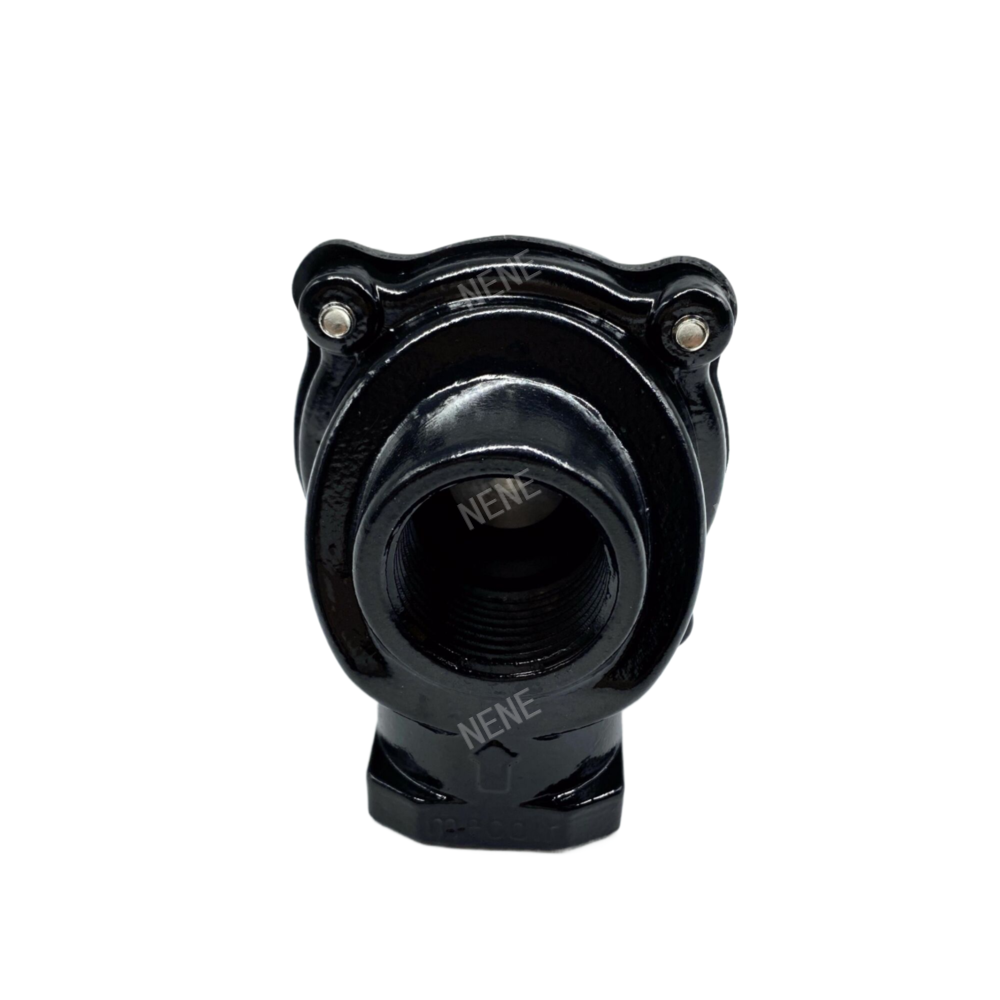 VNP206 Pulse Jet Valves 3/4 Inch 0.5–7.5 Bar MECAIR Female Thread