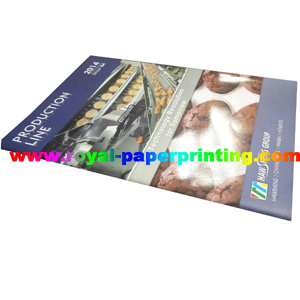 high quality colorful catalogue offset printing