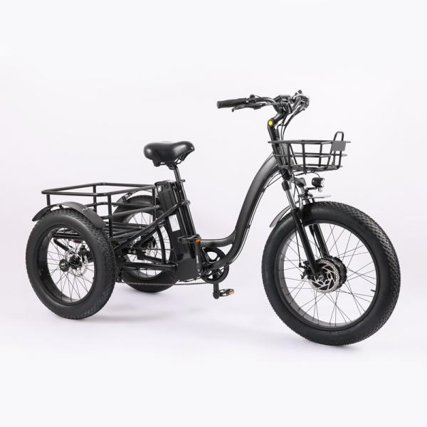 High Capacity Family Cargo Bike with Torque 80-90 Nm and Rear Carrier Battery Position