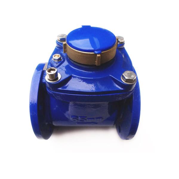 Dry-dial Woltman Water Meter 2 1/2 Inch Removable LXLG-65B