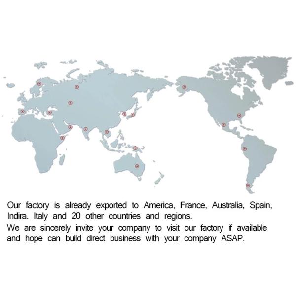 Wholesale Teeth Whitening IPX7 Waterproof OEM Private Label USB Rechargeable Sonic Electric Toothbrush