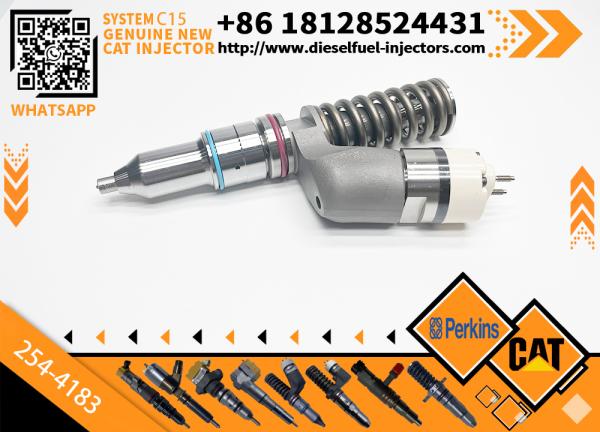 254-4183 294-3500 Injecteur de carburant pour le rail commun Pour moteur Caterpillar C15 C18 2544183 2943500 Ensemble d'injecteurs diesel