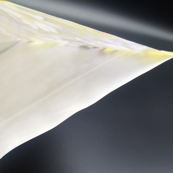 CTP Printed Compostable Packaging Bags Kraft Paper / PLA Custom Standing Pouch