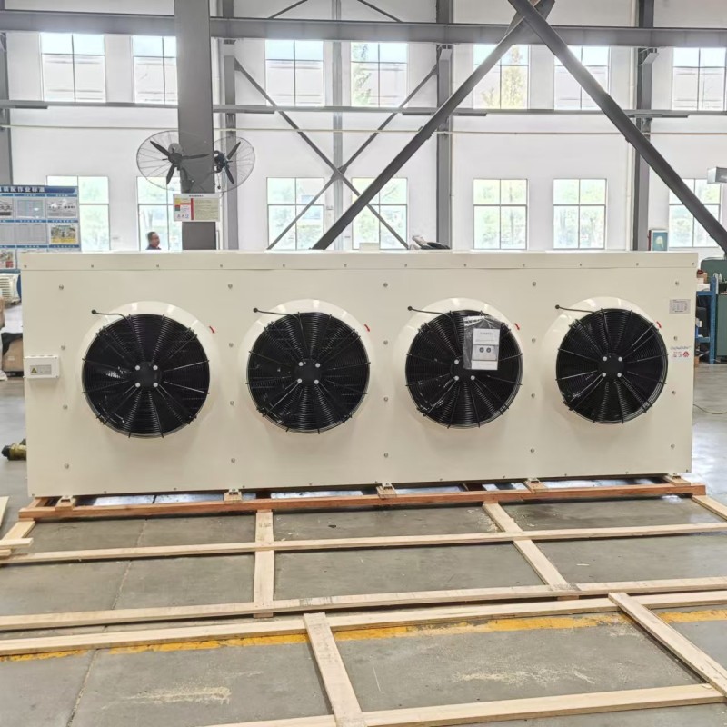 High-Capacity DL210 Evaporator for 210㎡ Large Commercial Cold Storage