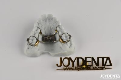 Adjustable Orthodontic Dental Retainers To Straighten Teeth Oral Health Comfortable