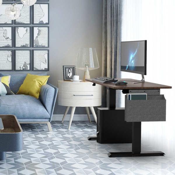 Height Adjustable Electric Standing Desk 48x24 Inch Electric Stand Up Table