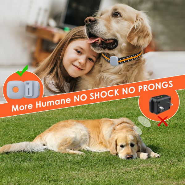 2025 Rechargeable Waterproof Eco-Friendly Plastic Dog Training Collar Non-Electric Anti-Bark Stop Device Vibration Training