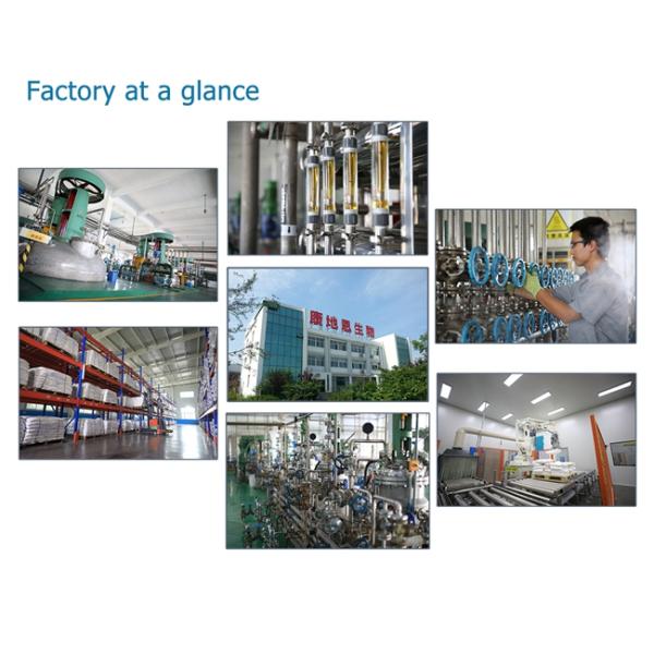 Fungal Protease Enzyme Cleaner Bulk Washing Remove Sweat Blood Feces Stain