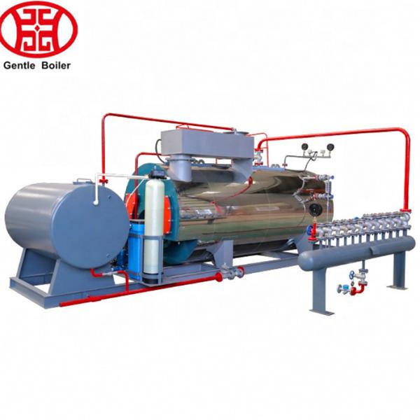 3T/H Industrial Natural Gas Fired Skid-mounted Steam Boilers for feed pellet line