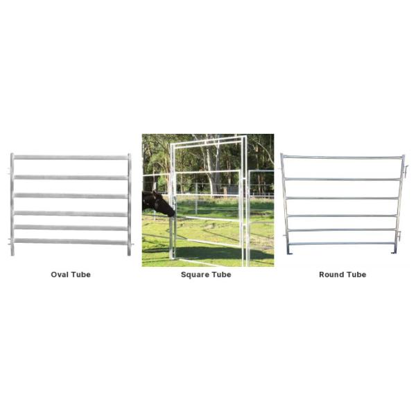 12 pies de trabajo pesado galvanizado de metal de pluma redonda ganado corral de la granja de cercas Panel