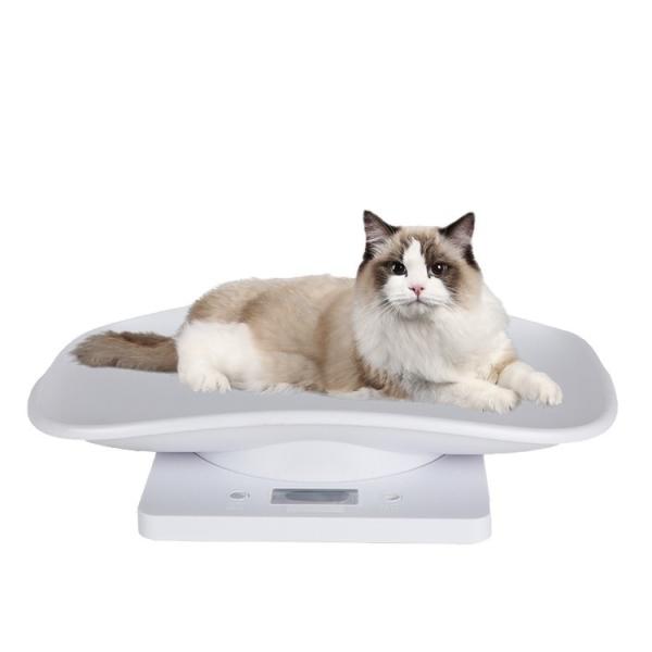 Balance numérique pour animaux de compagnie, balance pour animaux de compagnie, pèse avec précision le poids des chiens et des chats, plateau, écran LCD, mini balance de pesée d'aliments pour animaux de compagnie 10 kg
