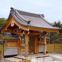Techo de cerámica de estilo japonés Sangawara Tiles Techo tradicional de casa de té al por mayor