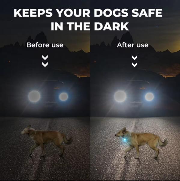 Customized Flashing Dog Collar Tags Red / Blue / Yellow / Green Flashing Safety Lights For Dogs