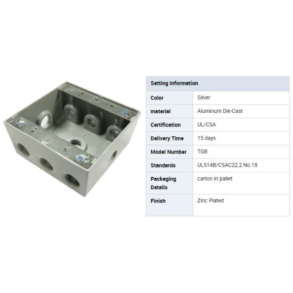 IP65 3/4 Inch Threaded Outlets Two Gang Weatherproof Box