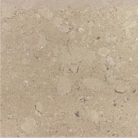 Cozinha Couro Branco Starlight Quartz Bancos Artificiais
