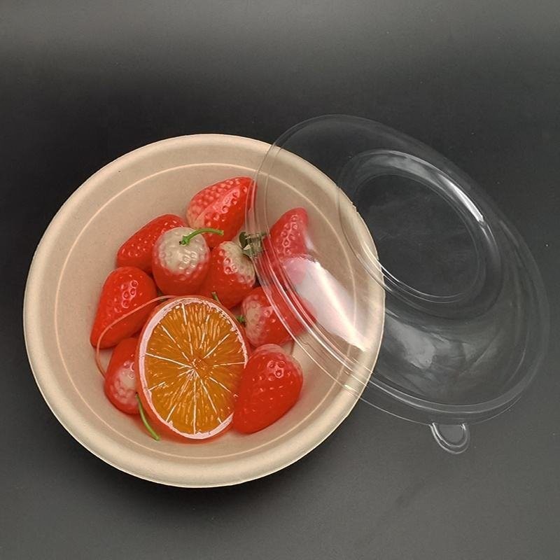 Eco-Friendly Disposable Degradable Sugarcane Bagasse Pulp Salad Bowl with Lid Full Payment