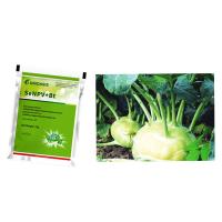 Insecticida microbiano Bio Bacillus Thuringiensis SeNPV Virus de poliedrosis nuclear