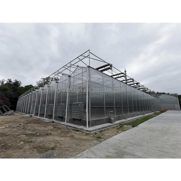Smart Greenhouse with Customized Length and Hot Dipped Galvanized Steel Frame Featuring Roof and Side Vents