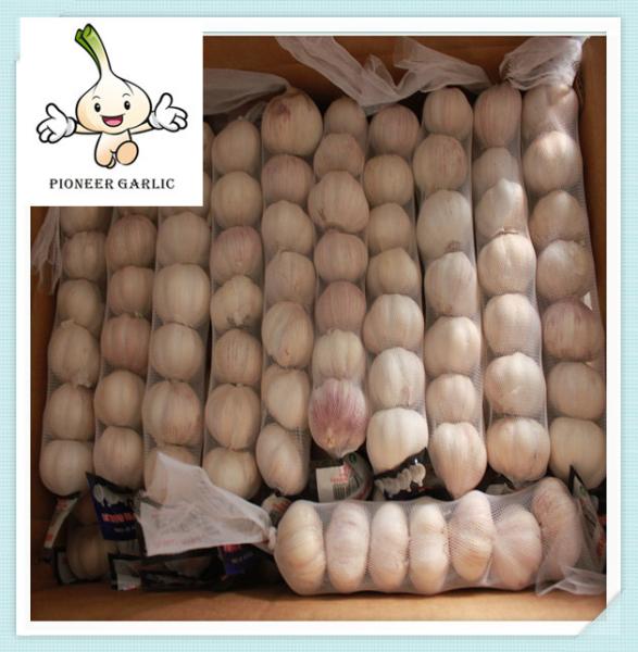 New And Fresh White Pure Garlic With Wholesale Price Chinese fresh garlic