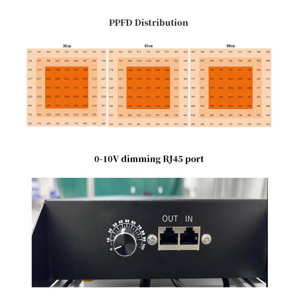 Lámparas de cultivo LED superiores de 640W de espectro completo para el crecimiento de plantas, para semilleros y floración en invernaderos