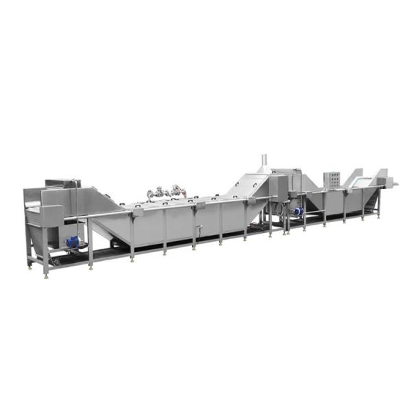 Industrial Automatic Vegetable And Fruit Blanch Potato Almond Peanut Mushroom Hazelnut Blanching Machine