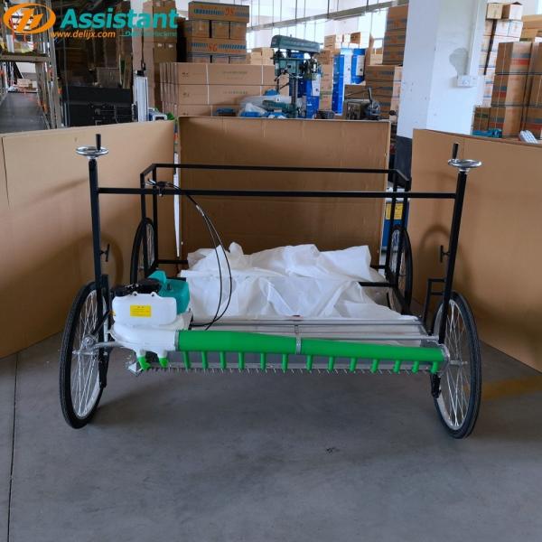 300 mm Working Width DL-4CP-1210W Lavender Flowers Stevia Harvester for Food Beverage