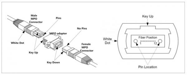 Duplex LC Connector FTTX 5m MPO Breakout Patch Cord LSZH