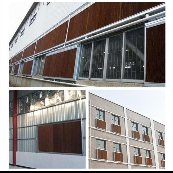 Пусковая площадка автоматической птицы вентиляции сарая дома охлаждая