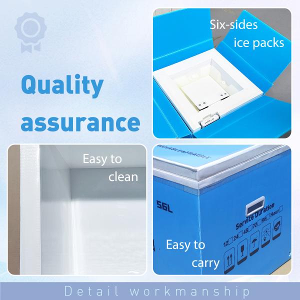 VIP Insulation Cold Chain Box With Ice Packs Configuration And Easy Carry Side Handles For Temperature Control
