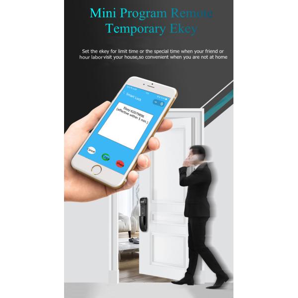Fingerprint Push Pull Smart Door Lock