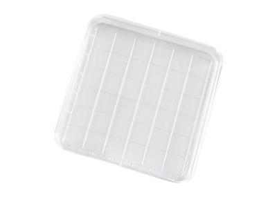Quadrado estéril Petri Dish Smooth Surface 90x15mm