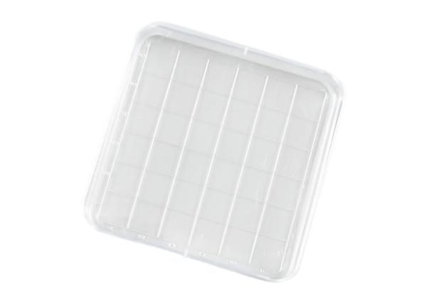 Sterile Square Petri Dish Smooth Surface 90x15mm