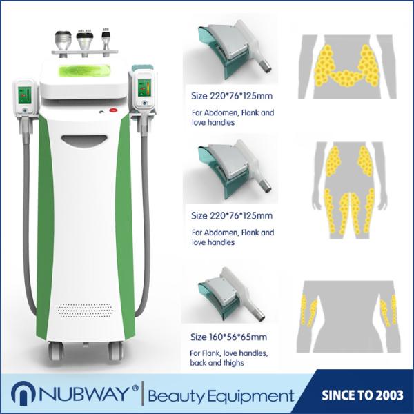 Wholesale good result five handles Cryolipolysis Slimming machine