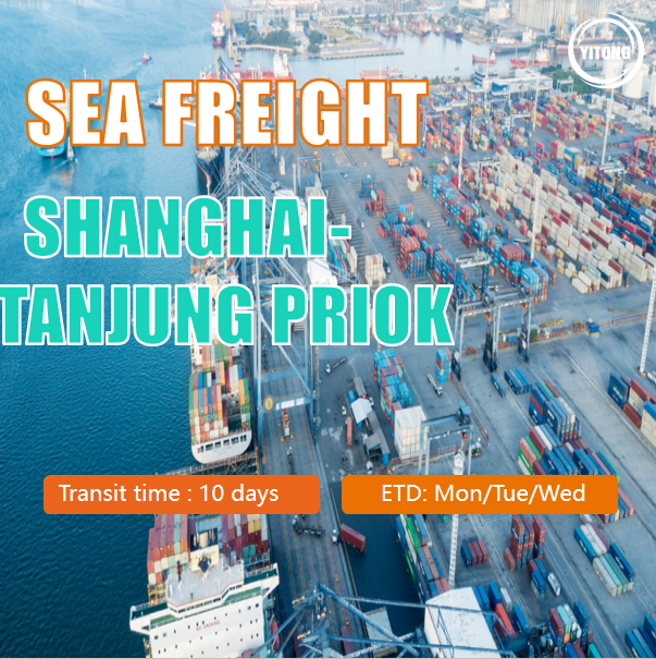 Comprehensive Sea Freight Logistics services offering scheduled shipments from Shenzhen Shanghai and other key ports to Malaysia and beyond