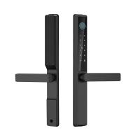 Serrure de porte coulissante en aluminium intelligente WiFi Tuya TTlock étanche pour l'extérieur, avec carte, empreinte digitale et mot de passe