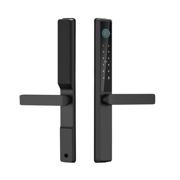 屋外防水 TTlock Tuya Wifi スマートカード 指紋 パスワード スライド式アルミドアロック