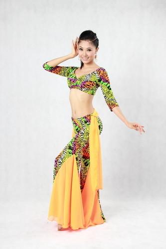 2pcs Animal Printed Belly Dance Training Wear With Pants & Bras Belly Dance Clothes