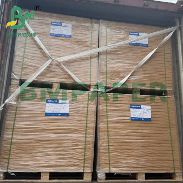 190g 210g Disposable Hot Drink Cup Roll Paper 15g PE Coated