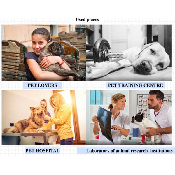 30Kg-150Kg Digital Platform Weighing Scale For Pet Animal Livestock ISO CE