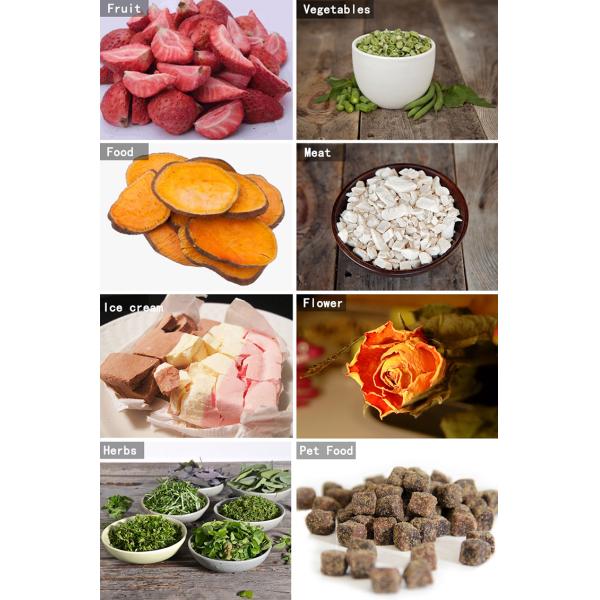 Small Mini Home Vacuum Freeze Dryer For Fruit And Vegertables Freeze Dryer