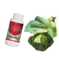 Pesticide microbien contre les vers d'oreille de maïs Bacillus Bt Thuringiensis