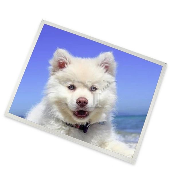 Pantalla LCD TFT G156HAN03.0 de 15.6'' 1920*1080 con conector de 30 pines