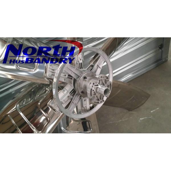 injection of poultry