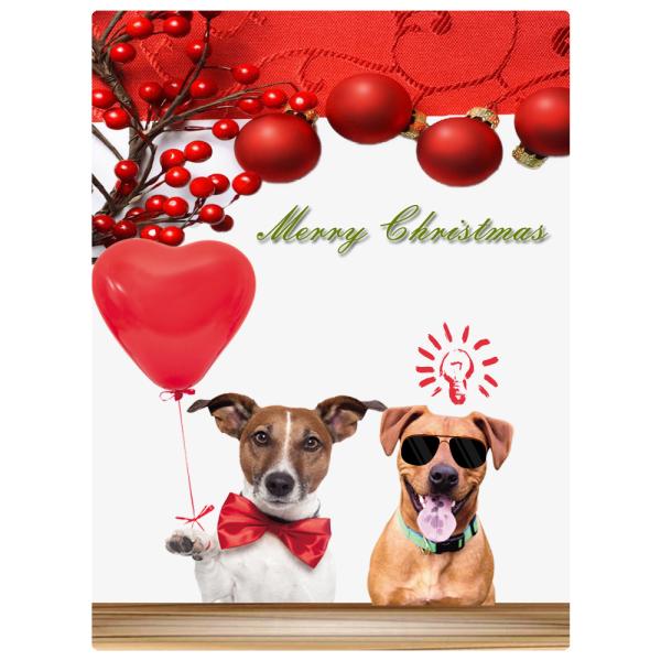 C509 New Pet Product Custom Nylon Cotton Inflatable Martingale Dog Pet Collar for Big Dog