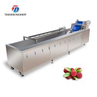 Grande máquina de lavar vegetal da máquina de lavar 340KG vegetal Multi-funcional de tipo contínuo