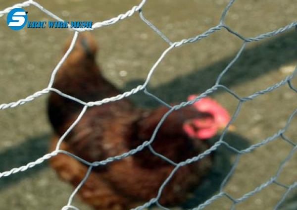 Fish trap wire/Chickn wire/fish trap hexagonal wire mesh------DZ021